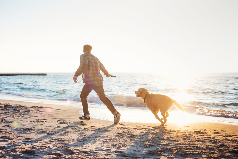 Vakantie met uw hond in Portugal