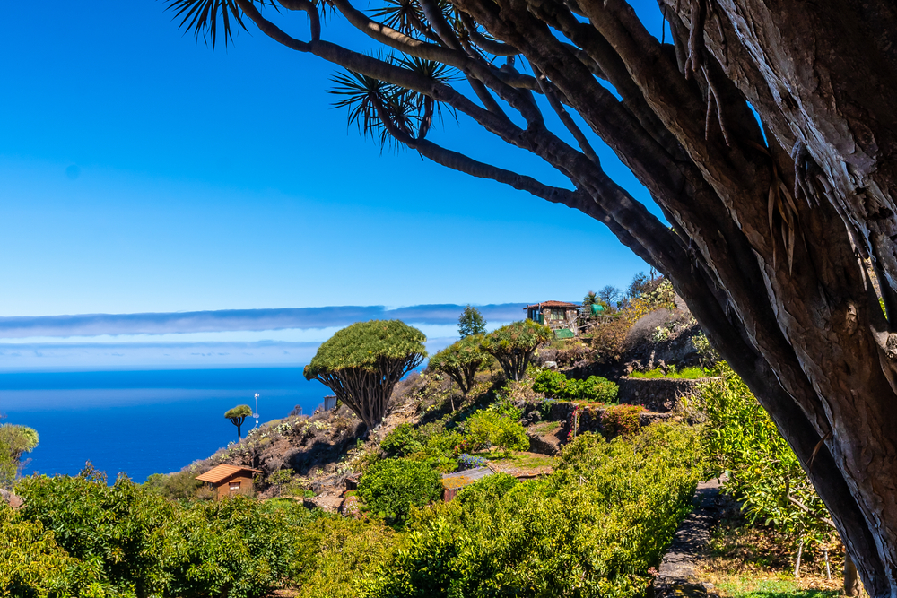 La Palma